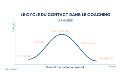 cycle du contact en coaching Pertinentstrategy.com
